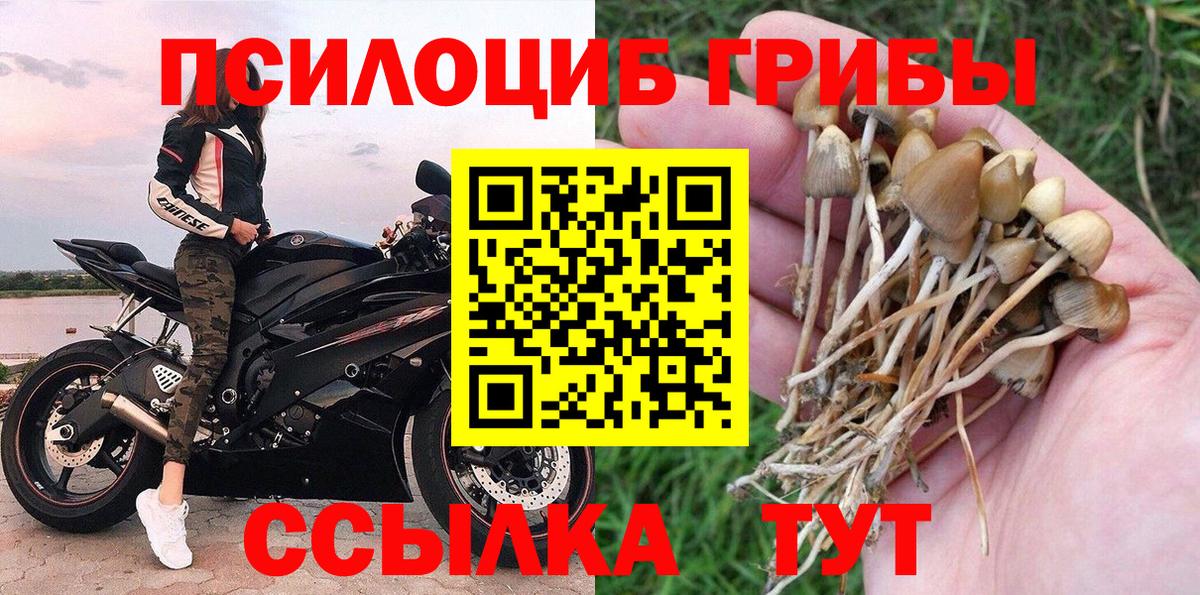 Псилоцибиновые грибы мухоморы Анжеро-Судженск