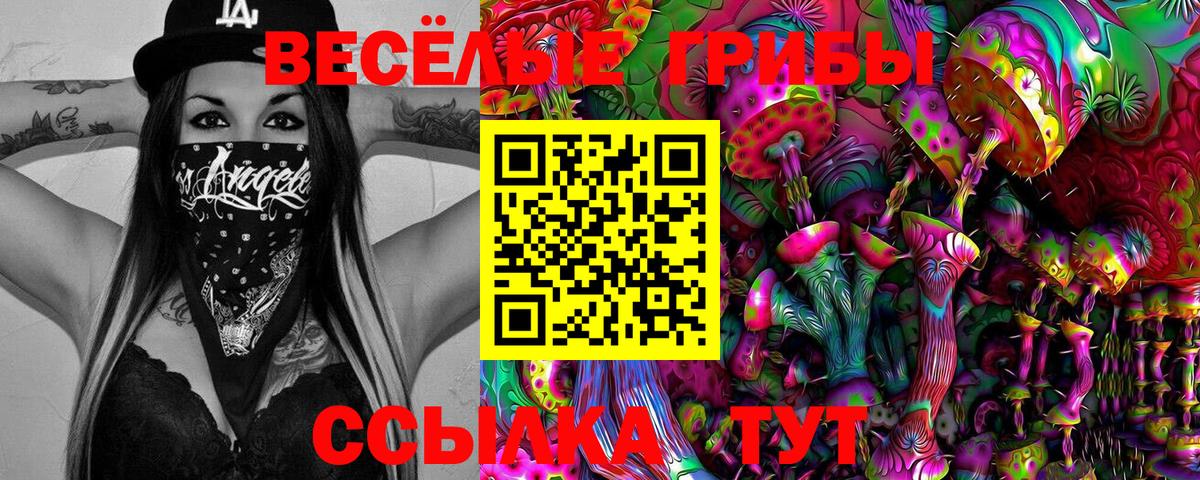 Анжеро-Судженск  Псилоцибиновые грибы Magic Shrooms  Вход с VPN 